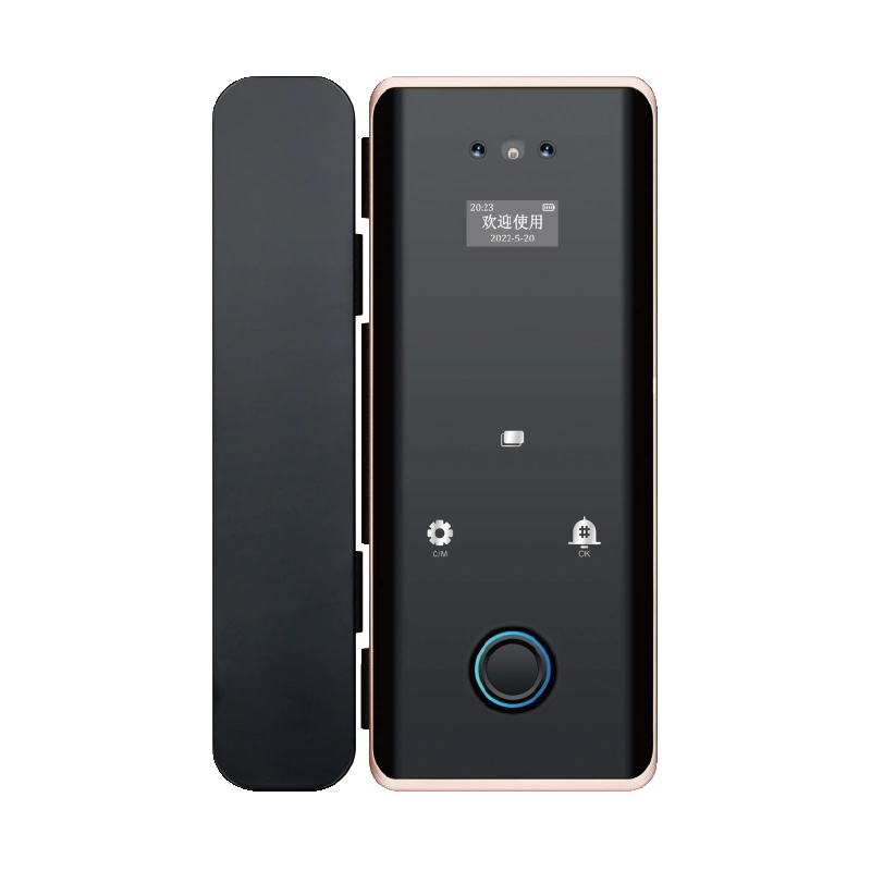 Affordable Smart Locks for Apartments